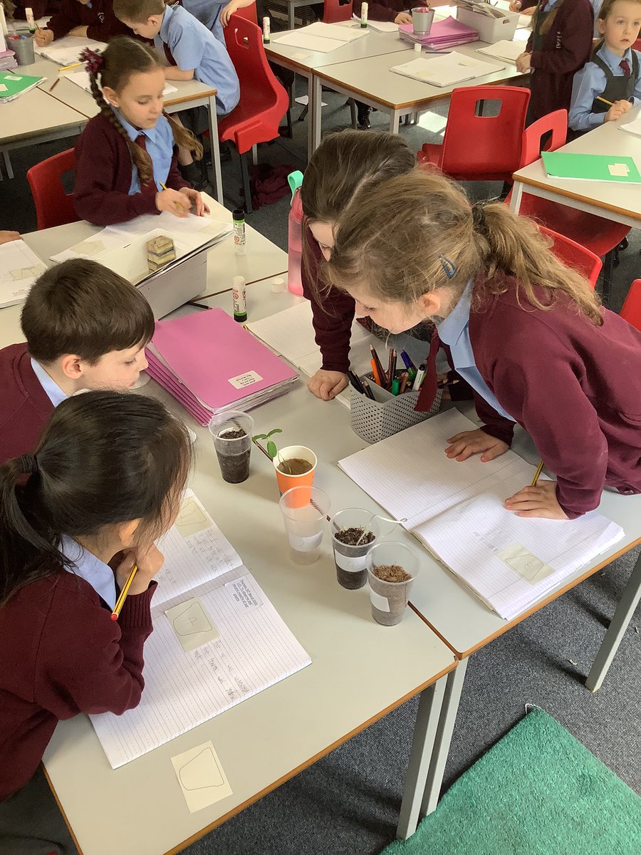 St Charles Catholic Primary Year 2 tweet media