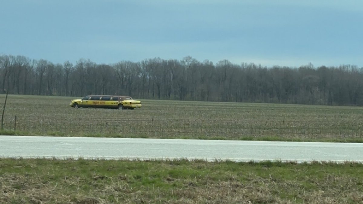 I see you, yellow limousine in a cornfield. Live your life, queen