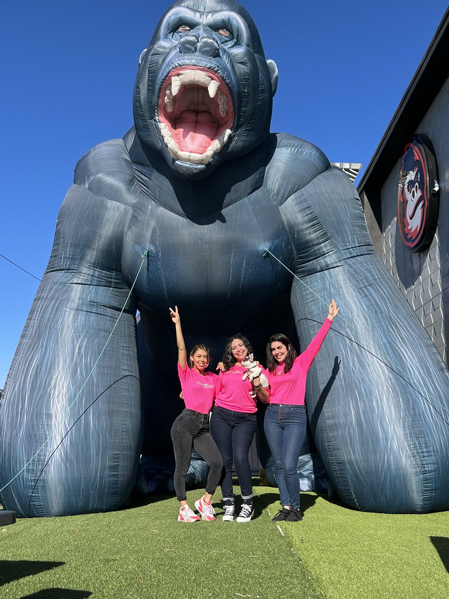 Happy Friday from Bolt (and his ladies) at Tampa Printer ⚡️🐾 We are wrapping up the week with some puppy love and a whole lot of printing power. Check us out today! #tgif #tampaprinter #weekend #tampapuppies #tampapups #kingonkennedy #wewearpink