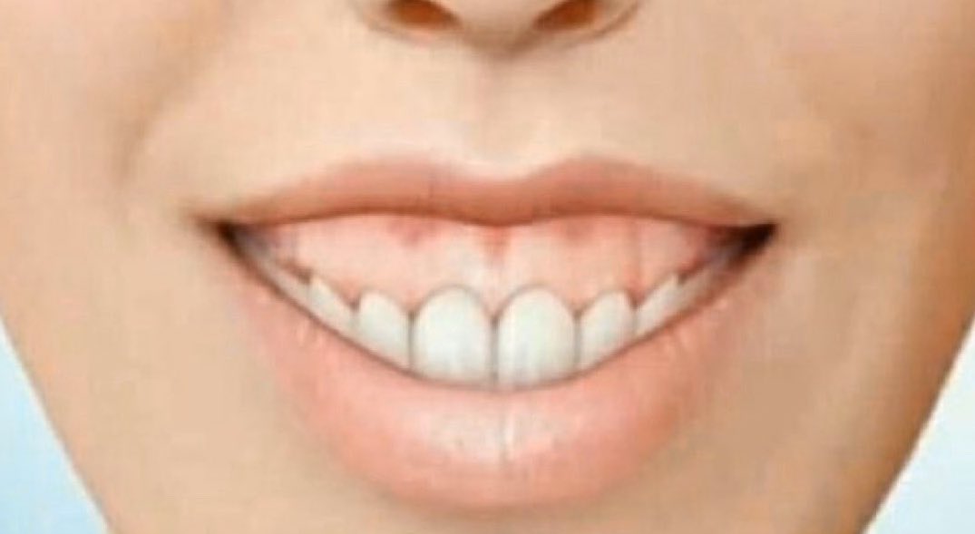 𝙳𝚊 𝙸𝚕𝚕𝚎𝚜𝚝 𝙽𝚘𝚗𝚗𝚊 🧡 tweet media