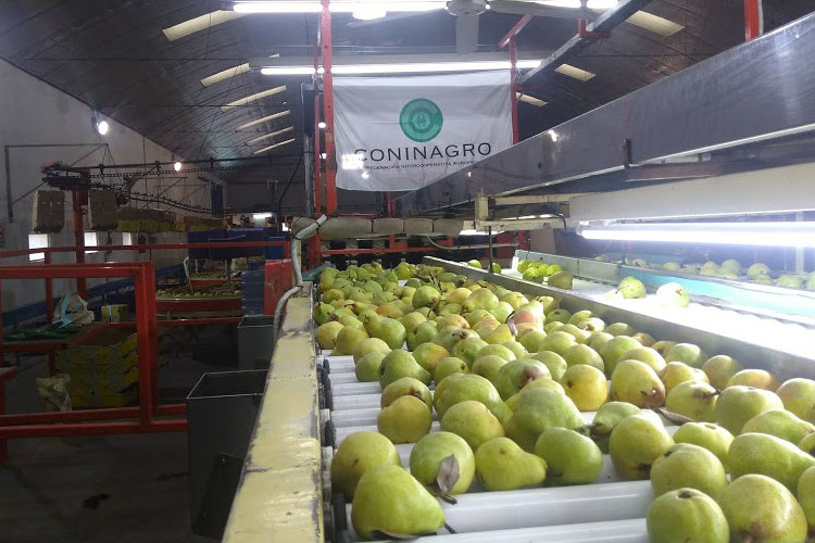 La confederación que representa al cooperativismo agropecuario le respondió al Jefe de Gabinete, Agustín Rossi, que acusó al campo de iniciar con los conflictos sociales en el 2008. bit.ly/3zjFnpA