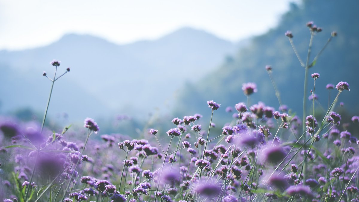 Silvergladesllp's tweet photo. LIMITED TIME OFFER 15% OFF.
Looking to get away this spring? Book a 4 or more nights between 17th April &amp; 30th June and save 15%. Offer end on 14th of April. https://t.co/RioRdkvoQz
VisitCairngorms Embrace Scotland #visitcairngorm #offers ##PetFriendly https://t.co/cLLOG2pAzx