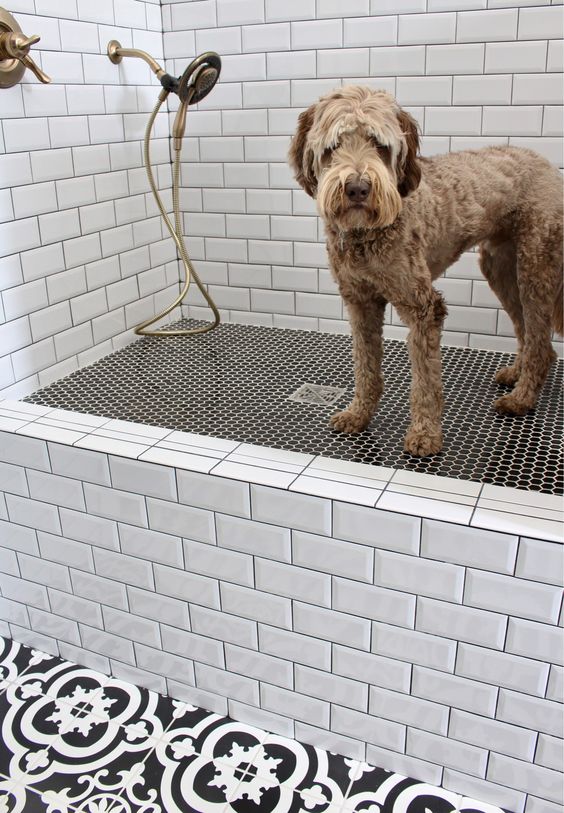 GroomingPMandy's tweet image. My grooming service will have your pet feeling like a new animal! They'll be so happy you brought them to me! #PetTransformation #GroomingMagic