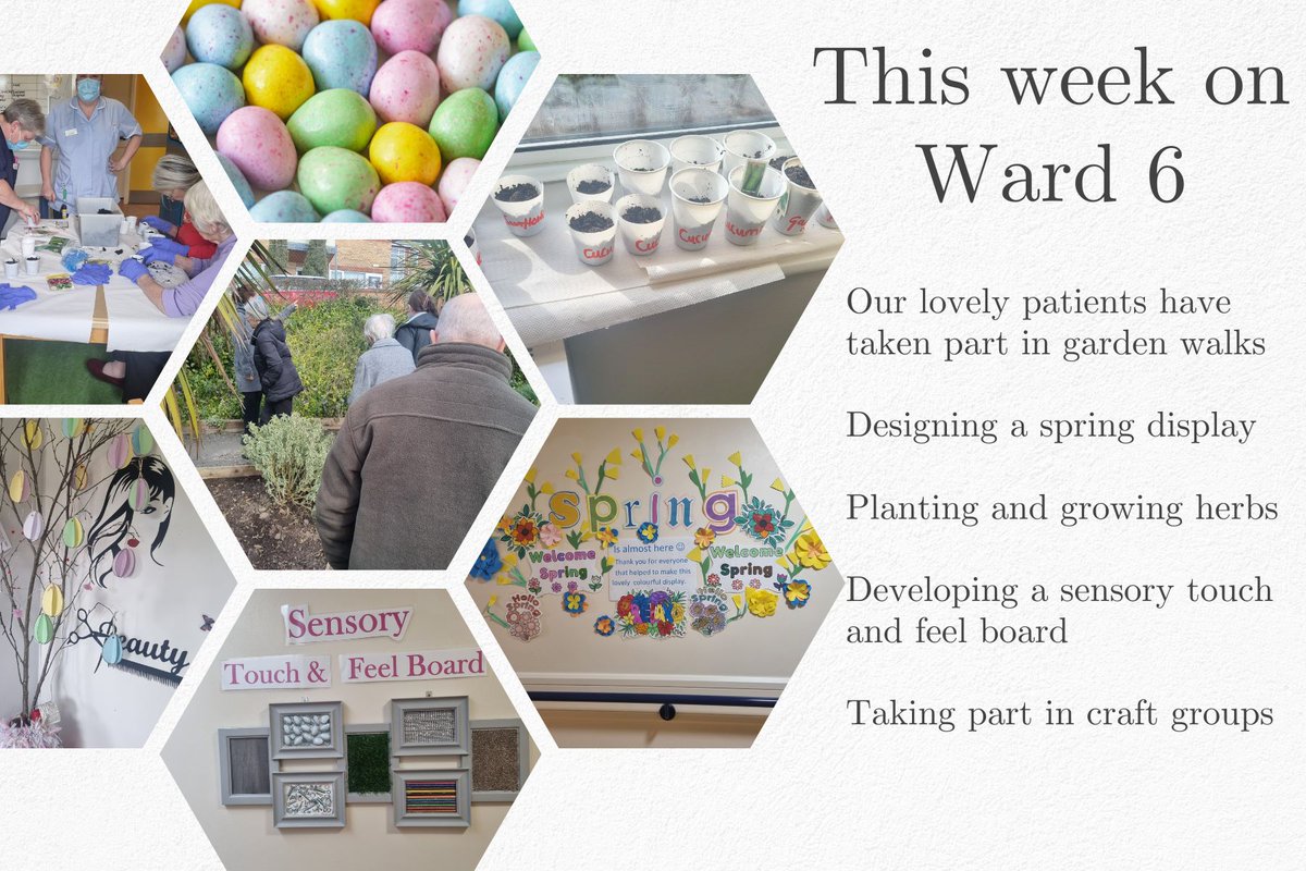This week on Ward 6...