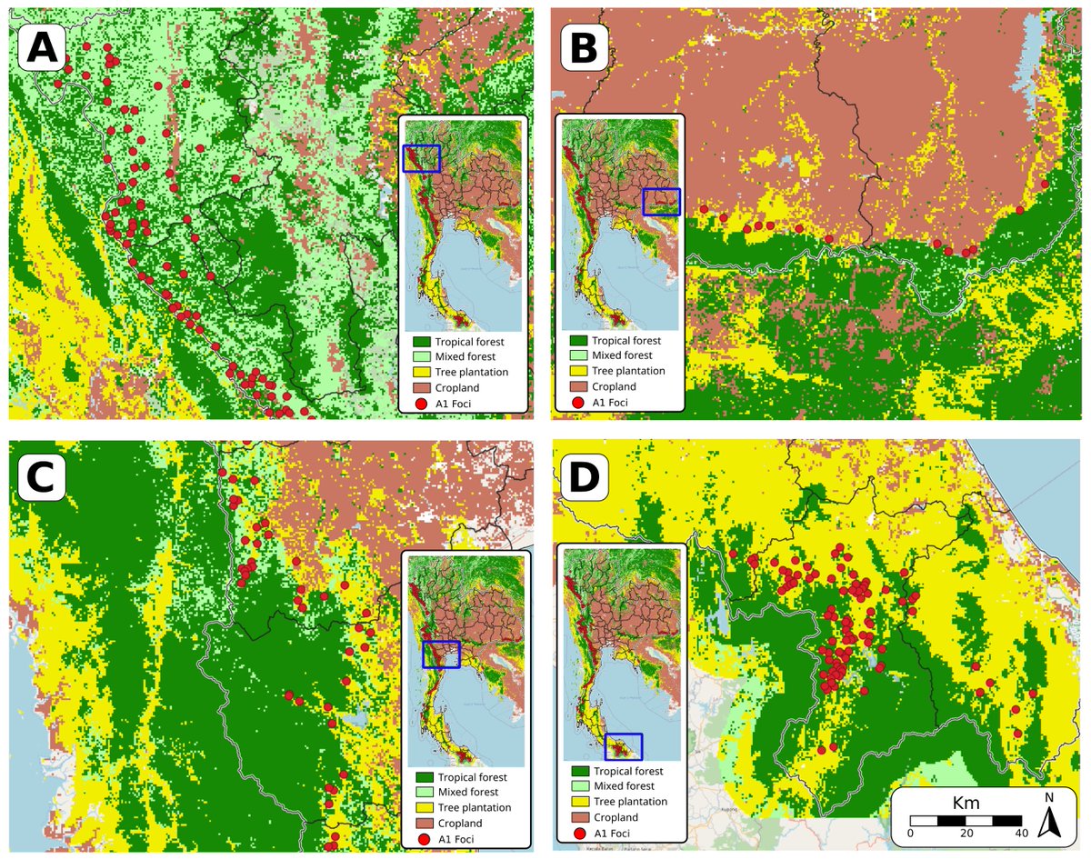 RTIMalaria's tweet photo. Global progress to #EndMalaria has stalled.  
  
A new study from @vbdthai @USAIDAsia @ADPCnet and @RTI_Intl examines the influence of environmental and climate factors to help #Thailand get back on track. https://t.co/fRbdtDFfHd https://t.co/COe0oYmcvp