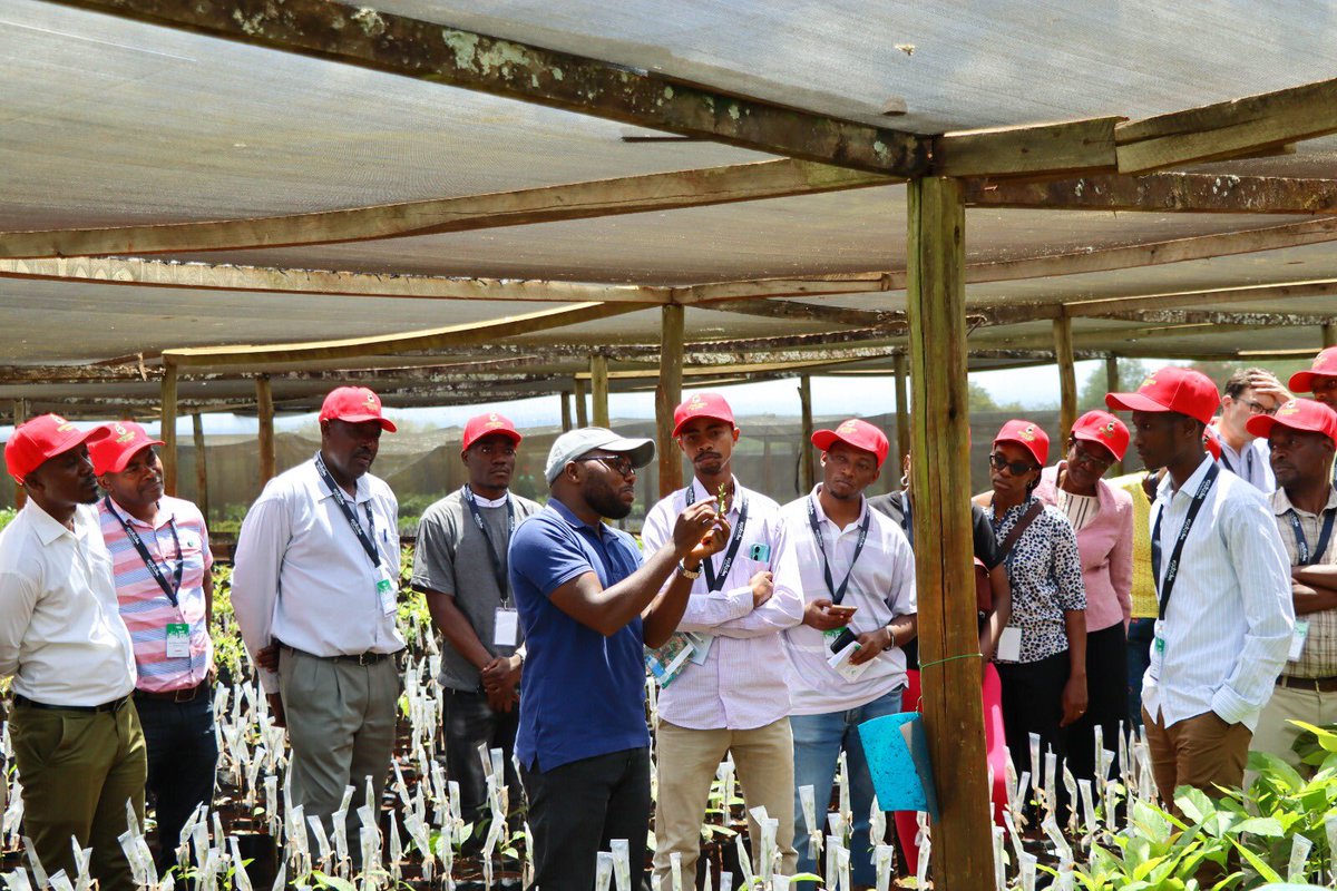 Kakuzi Plc tweet media