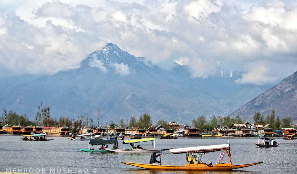 Mehroob Mushtaq (@mehroobm) on Twitter photo Scenic view of Dal Lake, Srinagar, Jammu, and Kashmir.
📸: <a href="/MehroobM/">Mehroob Mushtaq</a>
#kashmir #srinagar #dallake #mountains #zabarwanhills #shikara
<a href="/JandKTourism/">Jammu & Kashmir Tourism</a> <a href="/diprjk/">Information & PR, J&K</a> <a href="/tourismgoi/">Ministry of Tourism</a> Scenic view of Dal Lake, Srinagar, Jammu, and Kashmir.
📸: <a href="/MehroobM/">Mehroob Mushtaq</a>
#kashmir #srinagar #dallake #mountains #zabarwanhills #shikara
<a href="/JandKTourism/">Jammu & Kashmir Tourism</a> <a href="/diprjk/">Information & PR, J&K</a> <a href="/tourismgoi/">Ministry of Tourism</a>