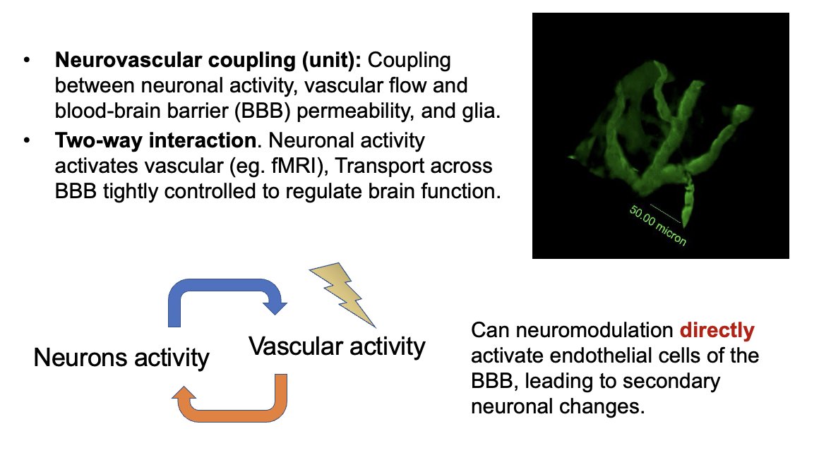 MaromBikson's tweet photo. Excited to speak today on "Functional Neuroimaging as the 🗝️Key to Effective Neurostimulation: Neuro-vascular Modulation?" NEBEC 2023 #NEBEC2023 
slides: https://t.co/8F4lnJP91t https://t.co/vtuJXONPMC