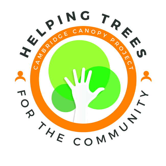 Cambridge Canopy Project tweet media