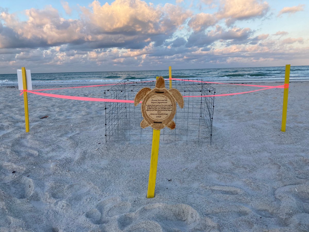 Celebrate #SeaTurtleAwarenessDay in style tomorrow at CMA from 10am - 3pm! The Sea Turtle Conservation Program will be preparing for sea turtle nesting season with nesting presentations, nest stake painting, Protect the Nest plaques, and so much more! cmaquarium.org