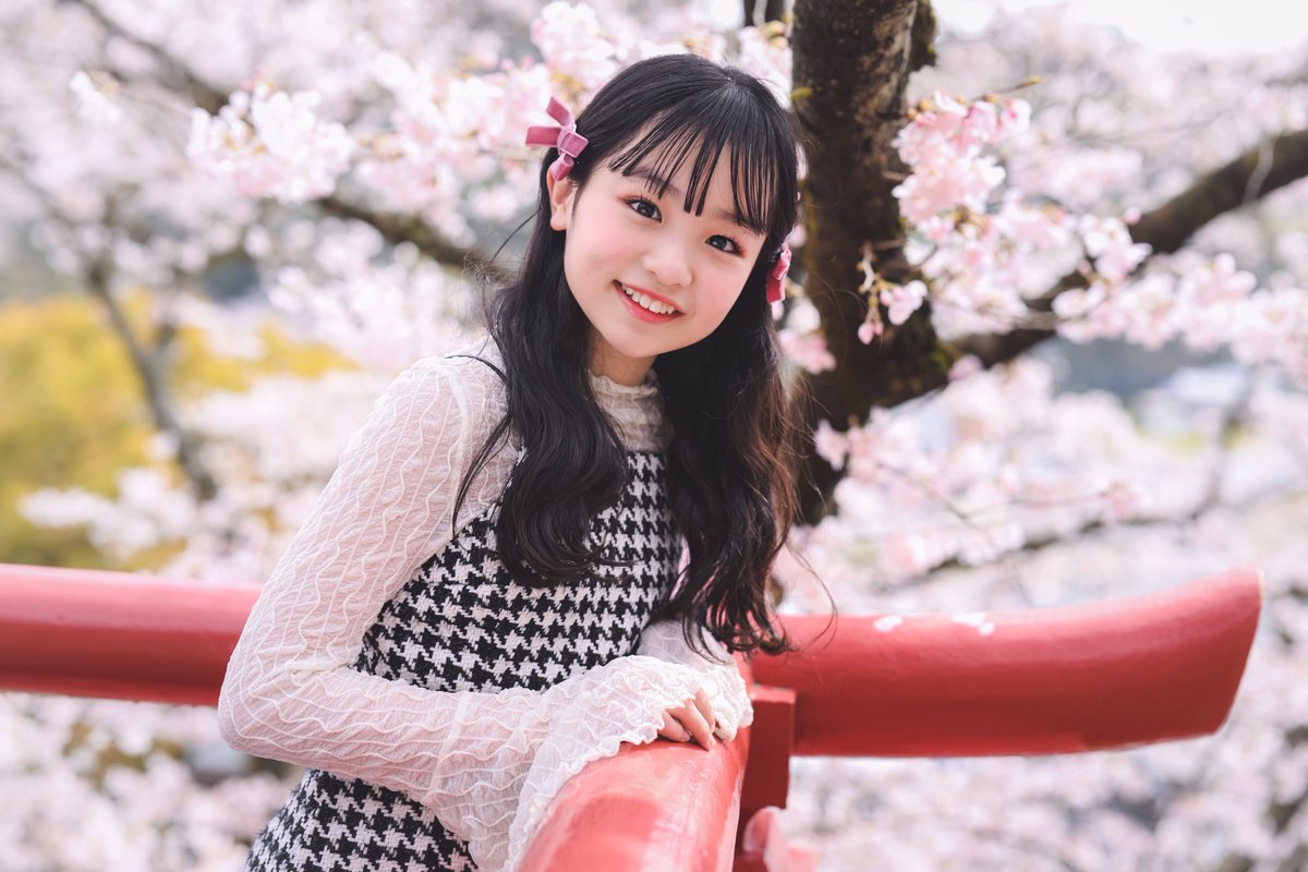 あや デイトナ グラブバーキャリア（ブラック） DS400 97204 デイトナ