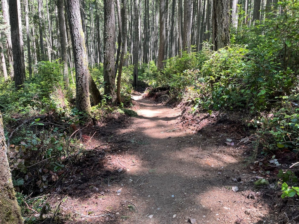 WTA_hikers's tweet photo. Show of hands, who's ready for spring break? ✋🏼✋🏼✋🏼

Pack your lunch, lace up your shoes and check out these 14 family-friendly hikes to enjoy over spring break: https://t.co/foF4rhWi7k
#springbreak #family #outside https://t.co/OKfcfHYcMB