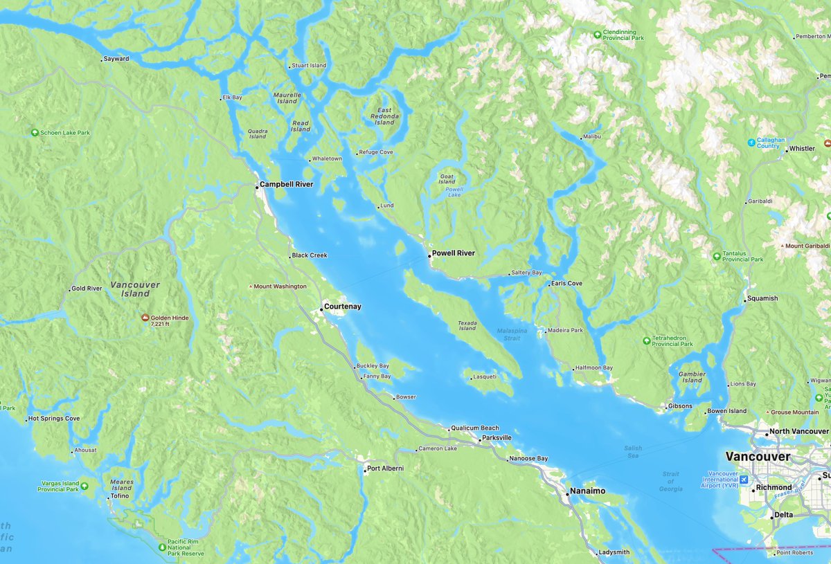 Coleman McCormick tweet media