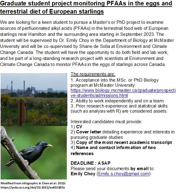 Could this be you? Come join my new lab @McMasterU and be part of this fantastic project on #PFAAs aka forever chemicals in starling eggs! There is opportunity to engage with local communities & incorporate new ideas into the project depending on the student's research interests!