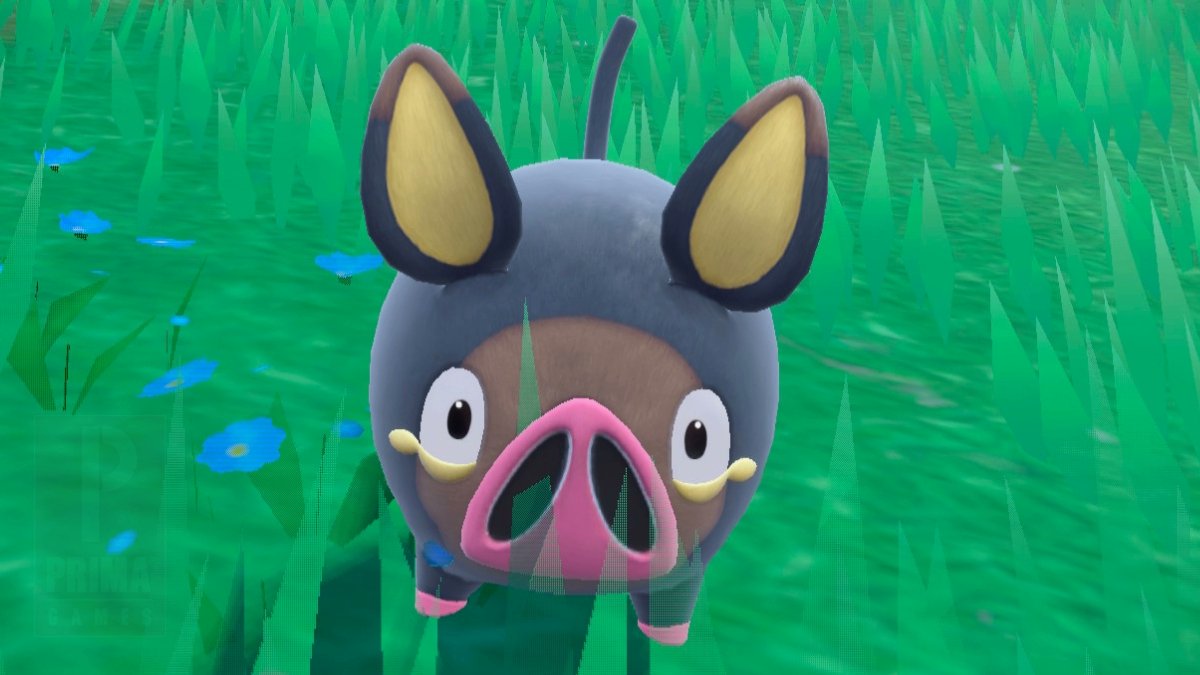 Since it is le #TransDayOfVisibility, remember that LeChonk supports you guys! 🏳️‍⚧️