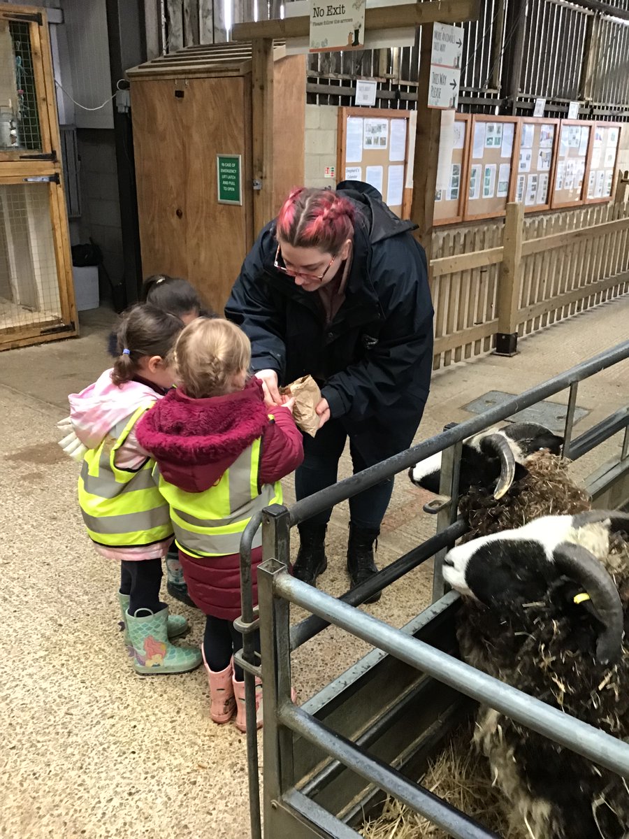 AVPA-NURSERY tweet media