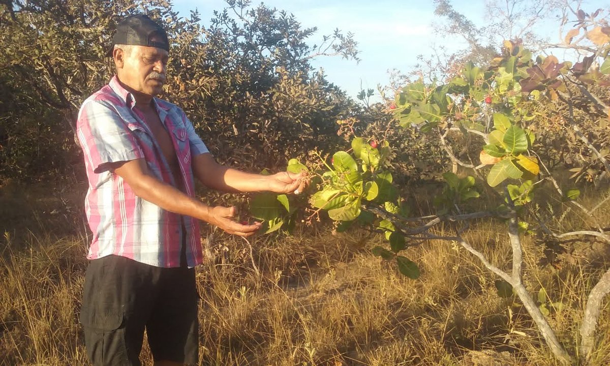 CerradoExtincao's tweet photo. Hoje é o #DiaMundialdaSaúde e não podemos esquecer que a #preservação do #MeioAmbiente é fundamental para a nossa saúde. O #Cerrado, lar de uma biodiversidade única, está ameaçado pela expansão do agronegócio e suas consequências para a qualidade do ar e a #saúde da população. https://t.co/ISnjcmmgmX