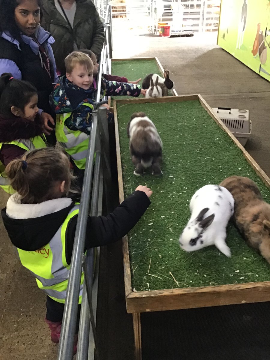 AVPA-NURSERY tweet media