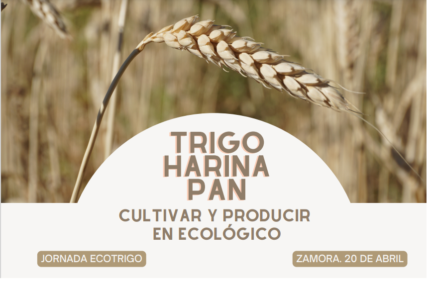 ITACYL's tweet photo. Jornada para compartir los resultados del proyecto @ECOTRIGO en el que se integra toda la cadena de valor "trigo/harina/pan" en condiciones de cultivo ecológico. 
#ITACyL @TimacAGROEspana #ARAE@jlfrasas 

📅 20 de abril 
📍  @MolinosdelDuero (Zamora)
✍️ https://t.co/NkDQX6o1yO https://t.co/2CfJcviKVr