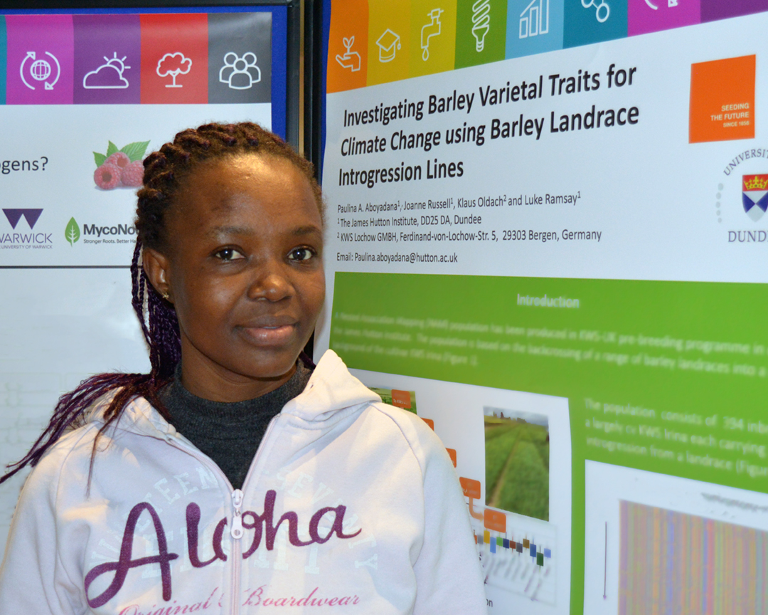 International Barley Hub tweet media