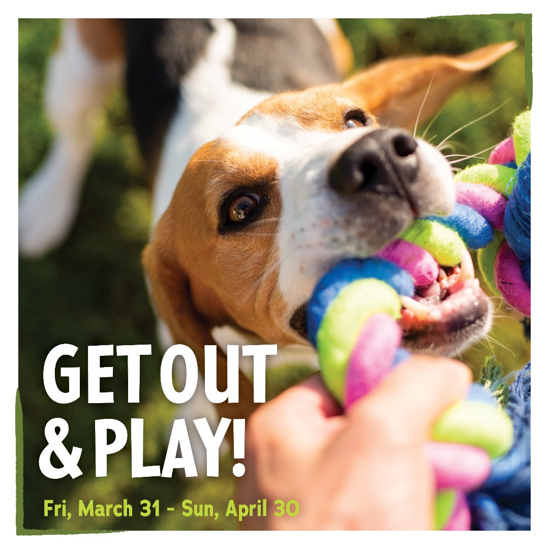 The Get Out &amp; Play Sale is on NOW ☀️🥎

Grab the perfect toys &amp; treats for spring in-store or online here: renspets.com/pages/flyer

#PetsBestLife #dogs #cats #dogsofcanada #spring #outdoors #play #pets