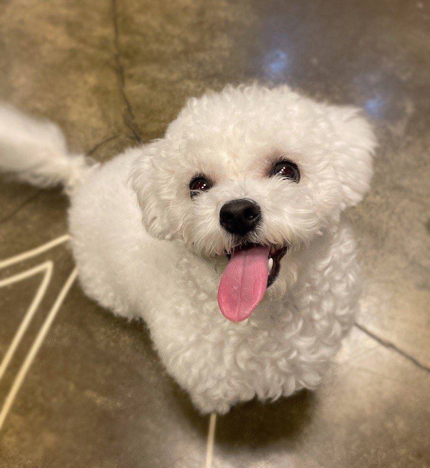 feedarchive's tweet photo. 230401 DAEGAL 🐾💬 UPDATE

“czennieeeee 💚”
“i’m back after a year ㅎㅎㅎ”
“did you miss me?”
“aigoooooo”
“my dad is overseas now ㅠㅠ” https://t.co/UgUIW1kZdU
