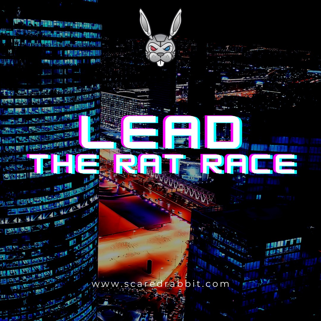 scaredrabbitpro's tweet image. Word on the streets is that rats are afraid of scared rabbits. We&apos;re fast, accurate, and resourceful to help you rise above the noise. 
ScaredRabbit.com ~&amp;gt; See You There! 

#ScaredRabbit #webdevelopment #webdeveloper #websites #webhosting #websitebuilder #SEO #copywriting