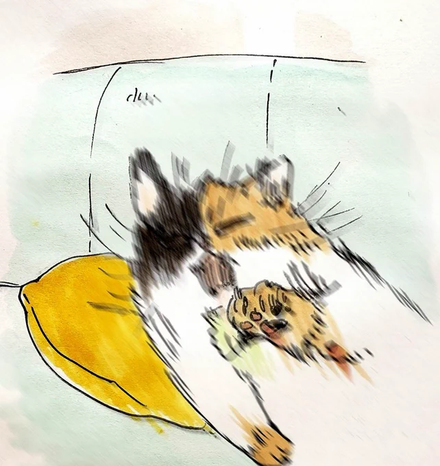 「ブレちゃう……」 