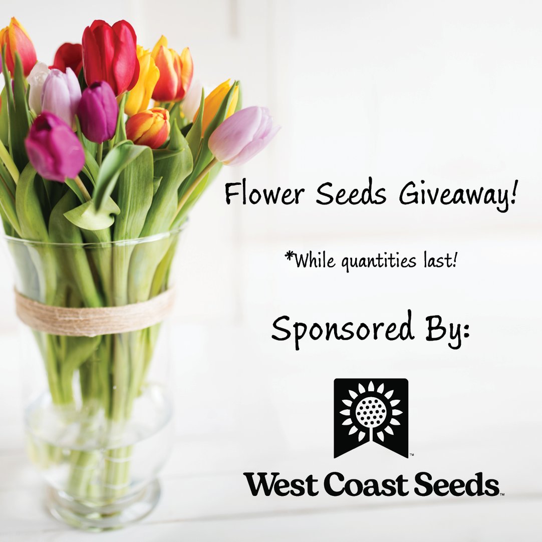 Buy a ticket at the door during these times and with your paid admission; receive a pack of flower seeds*:

Friday: 2pm - 3pm
Saturday: 6pm - 7pm
Sunday: 2pm - 3pm

🌷 Sponsored by West Coast Seeds 🌷

*While quantities last!