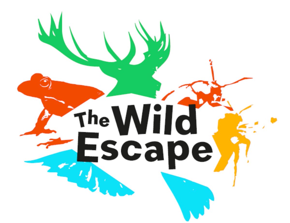 thehockeymuseum's tweet photo. Looking 👀 for something to do over the Easter holiday? Join @thehockeymuseum &amp; @WokingLibrary between 1️⃣ &amp; 1️⃣5️⃣ April, children aged 7️⃣-1️⃣1️⃣ can find four animals that have ‘escaped’ from our collection and are hiding in Woking Library as part of  #TheWildEscape! https://t.co/NZ5gHUvLyW