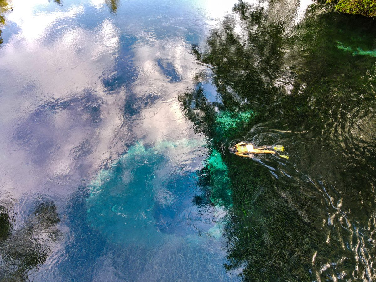 PurityBay's tweet photo. Good morning Florida! Happy Friday
#BlueHoleSpring #water https://t.co/QmLZ9R8i9C