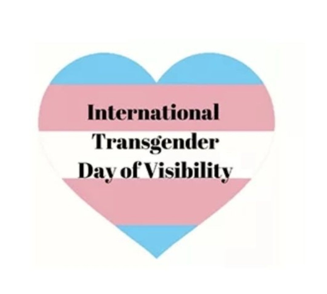 VanessaOConnel9's tweet photo. Thinking of my cuz @BexDeHavilland and all her girls #transbootcamp #TDOV2023 #TDOV πππ€π½ππ https://t.co/rp4vK07ca0