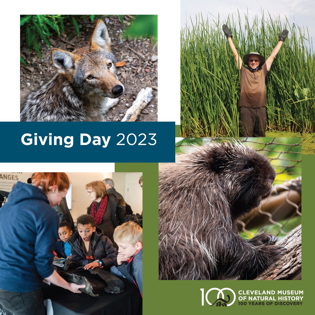 goCMNH's tweet photo. It's Giving Day 2023! Join us on Instagram as we take viewers on LIVE, behind-the-scenes adventures with Museum staff. 

Next up:
✏️ 1pm: Attend Summer Camp with the Education Dept.
🔬 4pm: Behind the Scenes with the Director of Collections

To donate:
https://t.co/XEdYGM4esi https://t.co/NnD9fF31UX
