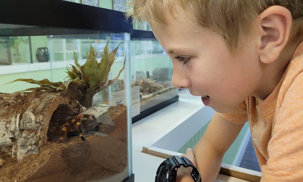 “I knew that we had created a special place for a lot of people, both locals and tourists, but I had not realized just how much it meant to everyone in our community.” — Bruce Devlin, owner of @WildWondersInsectarium #Creepy #Crawlers 
buff.ly/3TVtoYZ