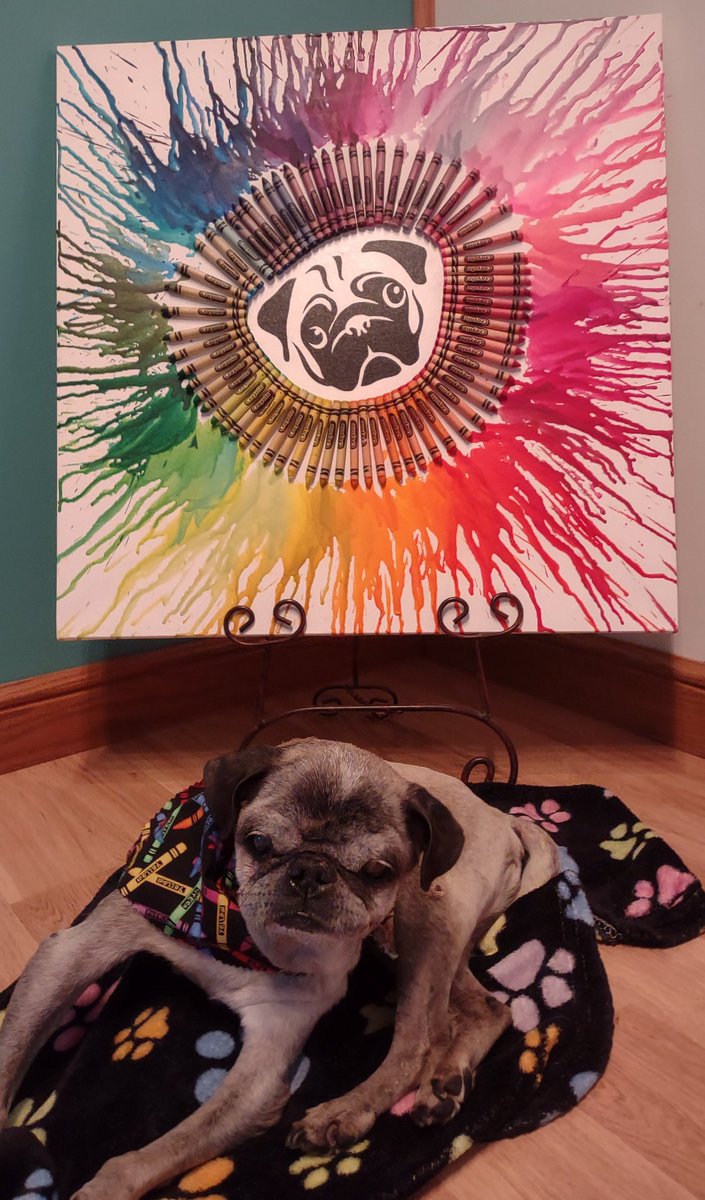 Every day is a national day for something🤣 so here's to #NationalCrayonDay . Happy Friday Twitter pals
🐶❤️🧡💛💚💙💜😺!
#puglife #pugsoftwitter #puglover  #pugs #dogsoftwitter #dogs #dogsarelove #seniordog #Friday #FridayFunDay @Crayola #GoColor