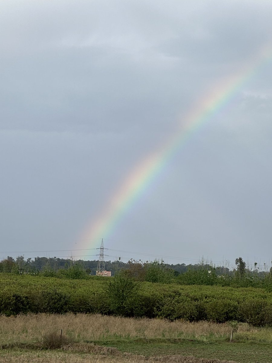 Seen Beautiful Rainbow After Ages.#Nature #Earth #Rainbow #BeautifulPlanet #Punjab