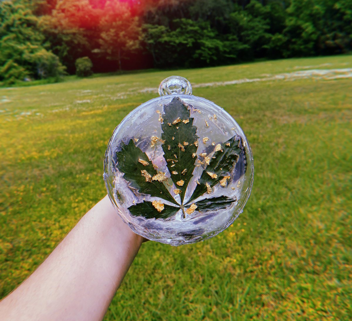 lepidopteralove's tweet image. remember when i made the coolest piece ever 🦋