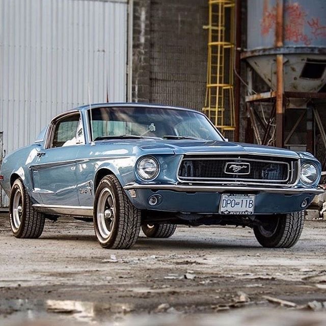 bigduke47's tweet image. #FastbackFriday Yep, you handsome. 😎 All day.