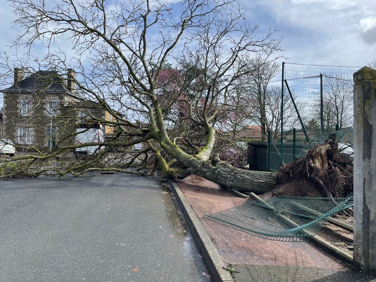 Prefet86's tweet photo. #Tornade | @prefet86 salue l'engagement des sapeurs pompiers du @sdis86 et de la @Gendarmerie_086 pour venir en aide aux habitants de Saint-Jean-de-Sauves touchée par une tornade

➡️Au total 42 bâtiments impactés
➡️Aucun blessé
🚧Les opérations continuent pour sécuriser les lieux https://t.co/aBeXksiKlk