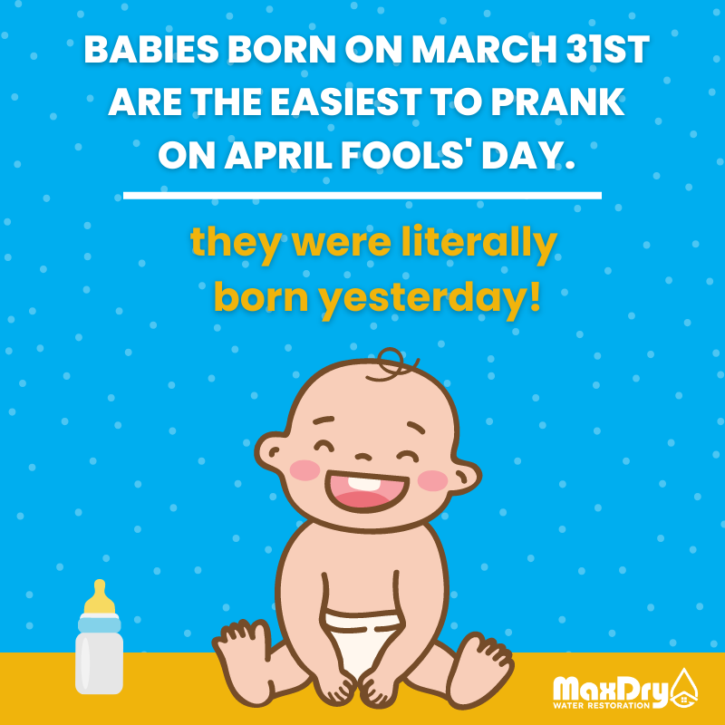 MaxDry_atl's tweet photo. ‘Tis the day before April Fools’ Day and this one was too good not to share! 

Babies born on March 31st are the easiest to prank on April Fools’ Day. Why?? Because they were literally born yesterday. 🤣🤣🤣

#aprilfoolsday #dadjokes #humor #maxdry #restorationcompany #atlanta https://t.co/arDvk7spaI