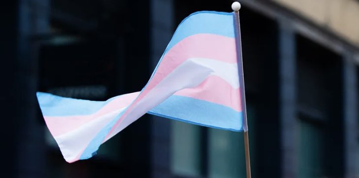 Abigail Campbell She/Her tweet media