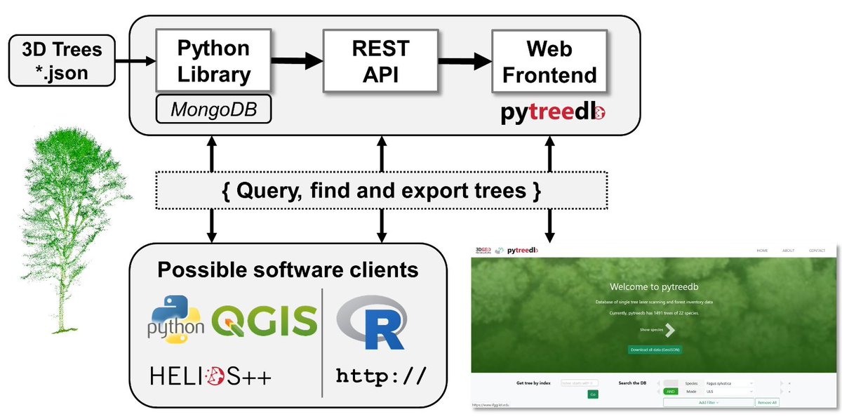 3DGeoHD's tweet photo. The python package was developed within the #syssifoss project and currently contains almost 1500 trees, which are openly accessible!
https://t.co/LmWUPq9Iy0
#3DGeo #opensource https://t.co/fdYCBt9q7c