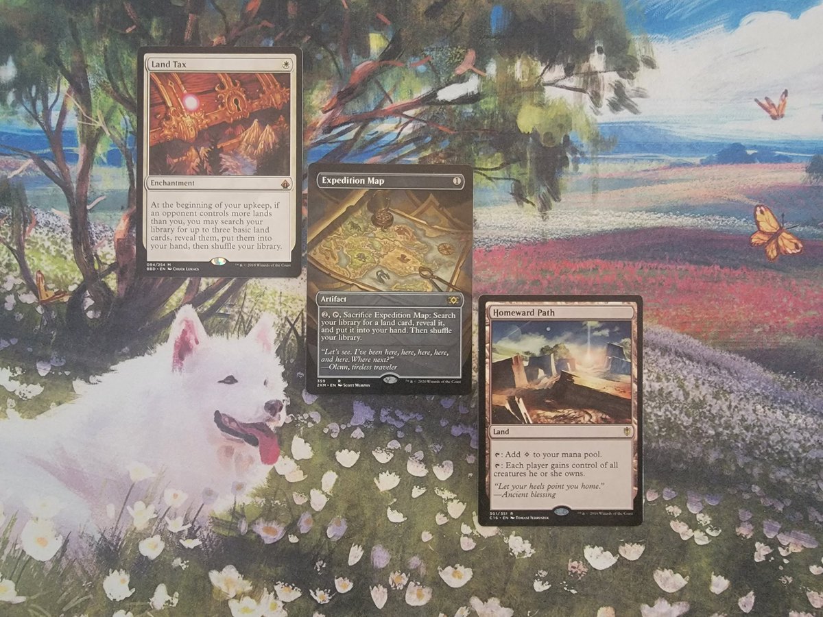 chiefisdeaf's tweet photo. It's #TransDayOfVisibility, so I'm doing a #MagicTheGathering giveaway! You can win these cards by liking and retweeting this post. You can earn 5 extra entries if you send me a receipt for a donation to any cause that helps trans folks. Check the replies for more details. https://t.co/PQypt92U9V