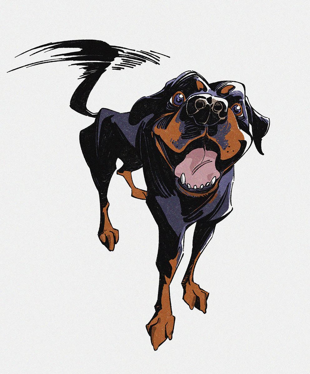 Rousdr (@rousdr_) on Twitter photo 