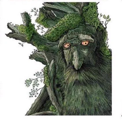 20. Barbol 