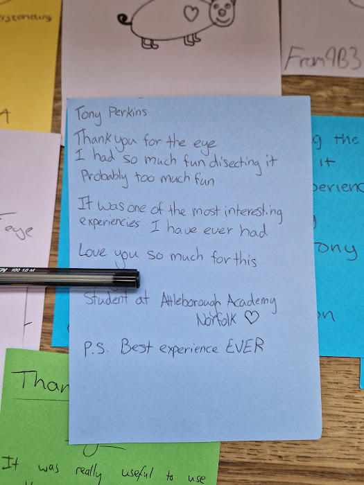 Tony Perkins tweet media