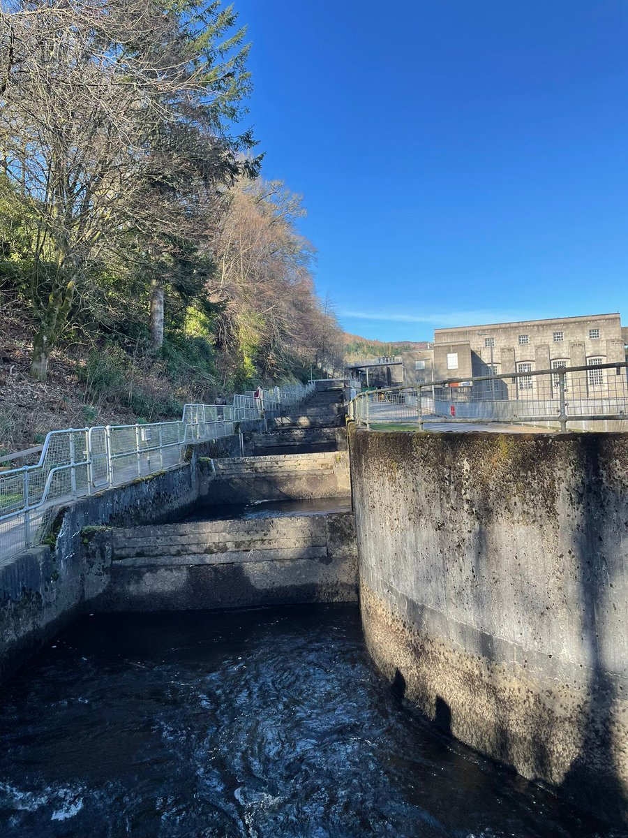 languagesatbhs's tweet photo. On Monday we visited Pitlochry @PitlochryDamVC https://t.co/z7uja4oBsb
