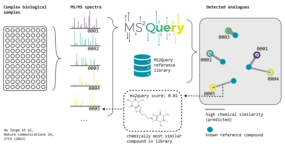 me_datapoint's tweet photo. Very happy to see our joint work on #MS2Query being published in @NatureComms --> https://t.co/jw6hm18e9P 🎉

Combining multiple #MachineLearning models #MS2Query rapidly and reliably links unknown substances to chemically highly related compounds from a reference library. https://t.co/kcXaTCay93