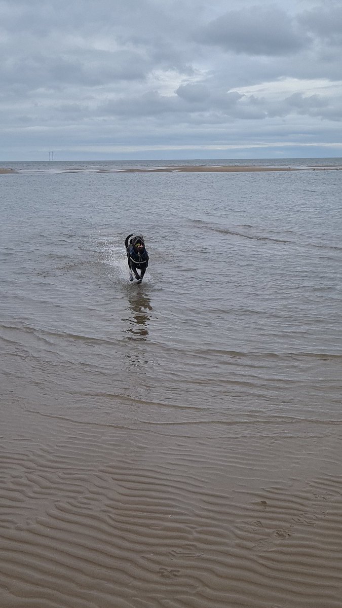 gio_cso's tweet photo. I loves da beach! @ScouseB @scouseleder @DT_Merseyside https://t.co/SdHCaqFQ2l
