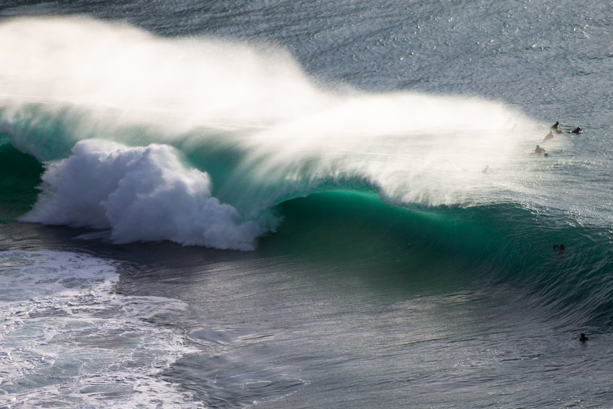 Water Safety Ireland tweet media